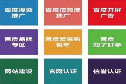 案例解读：SEM推广托管助力品牌崛起